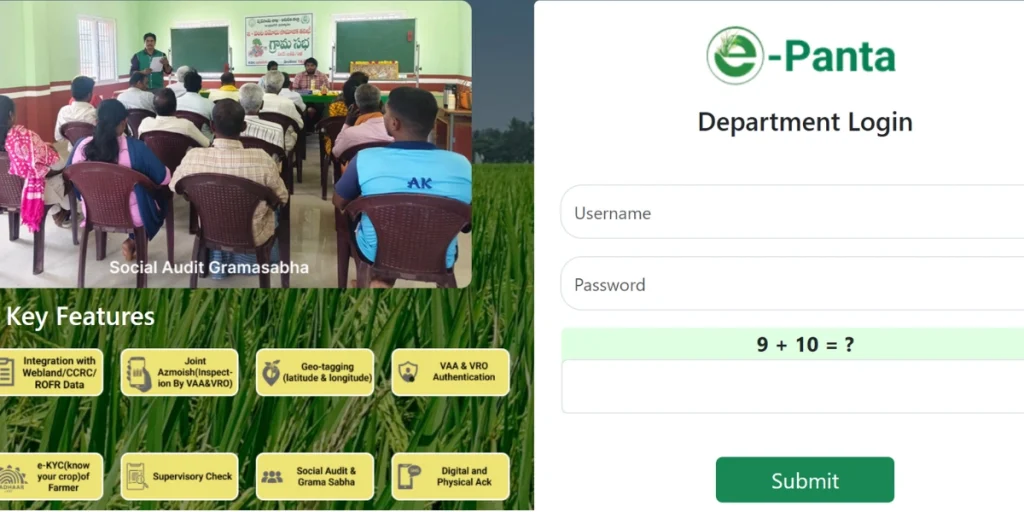 e Panta Official Website